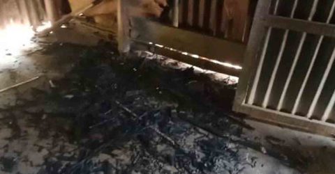 কেন্দুয়ায় নারীর বসতবাড়িতে হামলা, লুটপাট ও অগ্নিসংযোগ