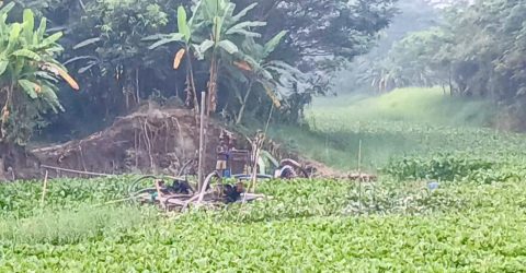 শরীয়তপুর বিনোদপুরে বালু উত্তোলনের মহোৎসব