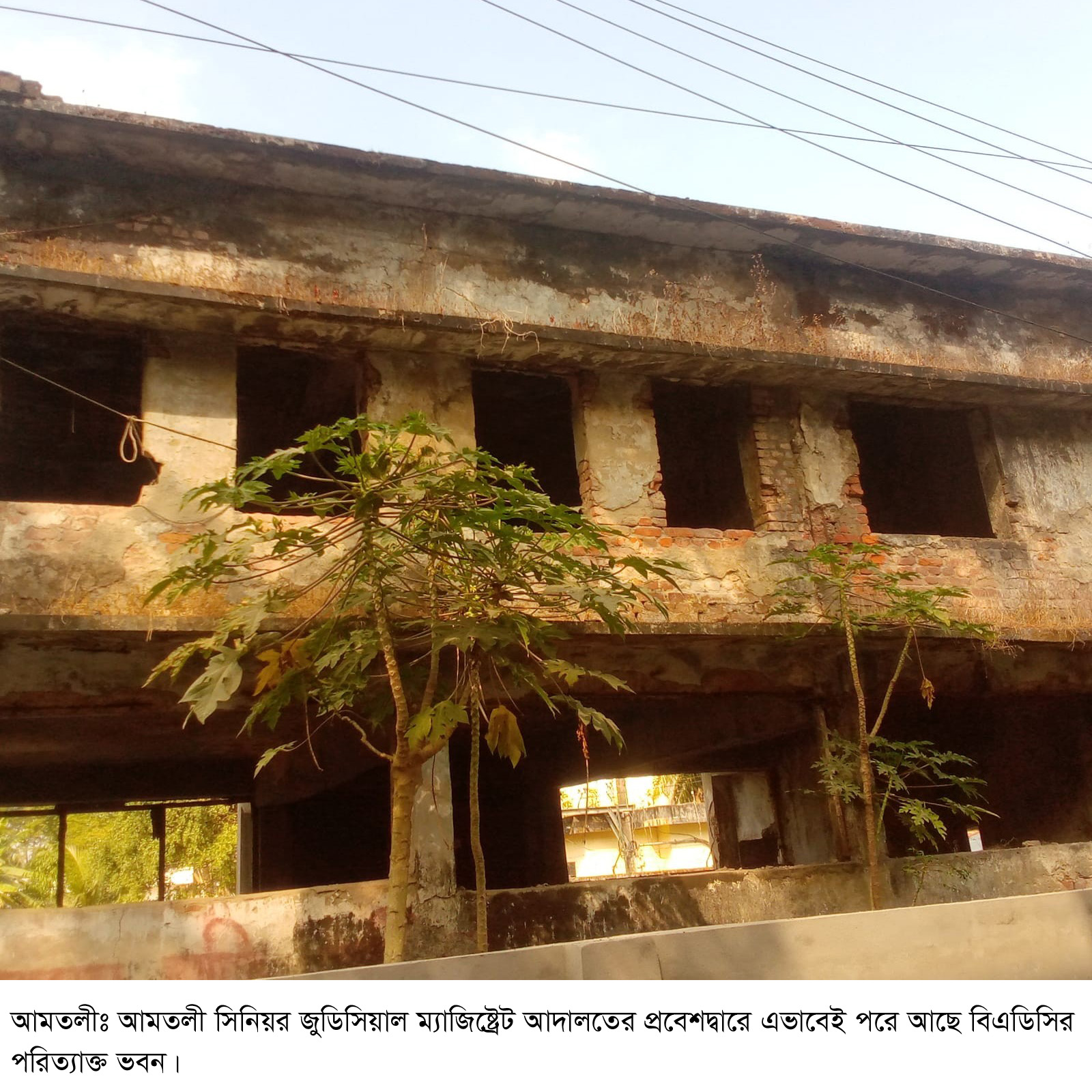 আমতলীতে অর্ধশত বছরের পরিত্যাক্ত আদালত ভবন, ঝুঁকিতে  ২০ হাজার বিচারপ্রার্থী